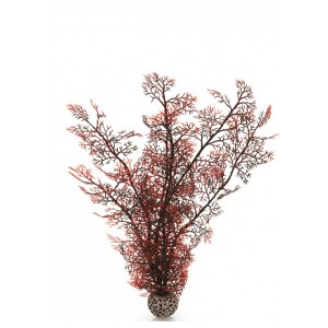 Decoratiune planta marina purpurie mare 