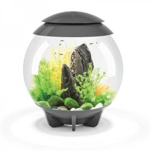 Set complet acvariu cu decoratiuni BiOrb Halo 30 litri MCR, Gri