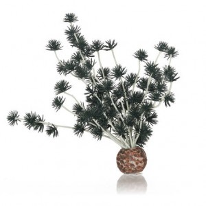 Decoratiune minge Bonsai Biorb, negru