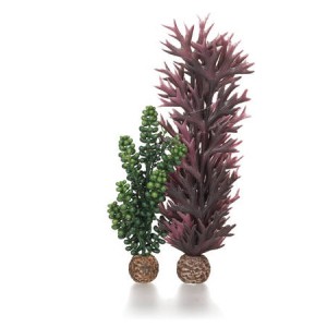 Set decoratiune acvariu biOrb alge marine verde-olive