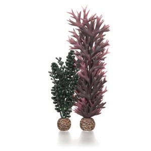 Set decoratiune acvariu biOrb alge marine verde inchis