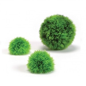 Set tufisuri acvatice rotunde Biorb