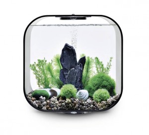 Set de decor acvarii 30 litri biOrb Stone Garden