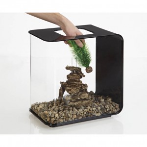 Decoratiune minge Bonsai Biorb, alb